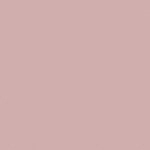 SANDERSON PAINT KINGLY GREY  101